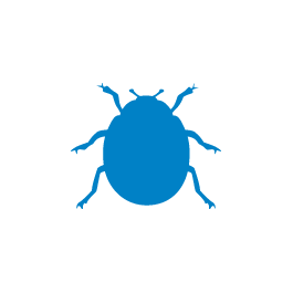 beetleiconblue
