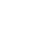 assets icon